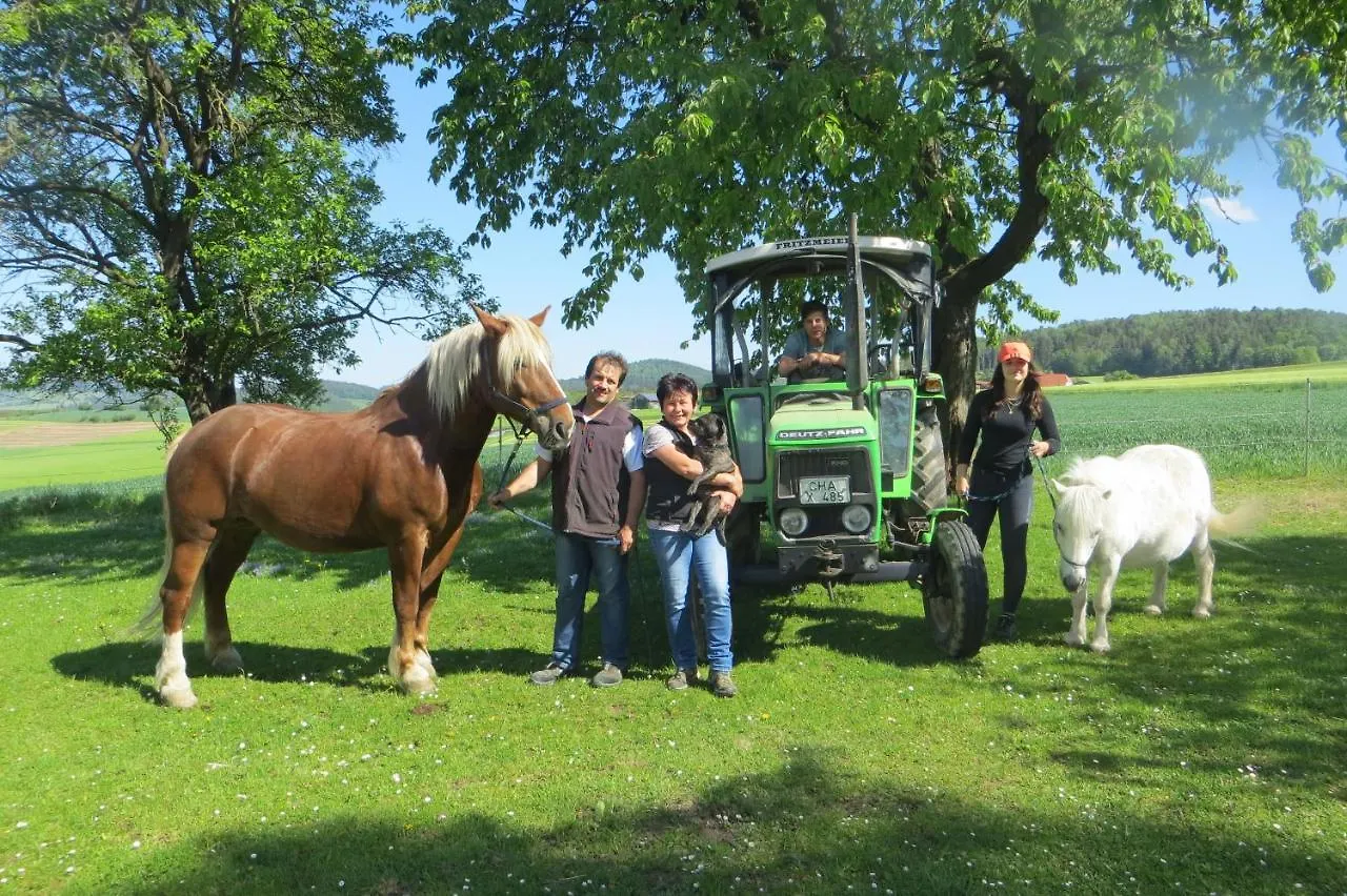 Ponyhof Adam Urlaub Auf Dem Bauernhof Apartment Eschlkam Germany