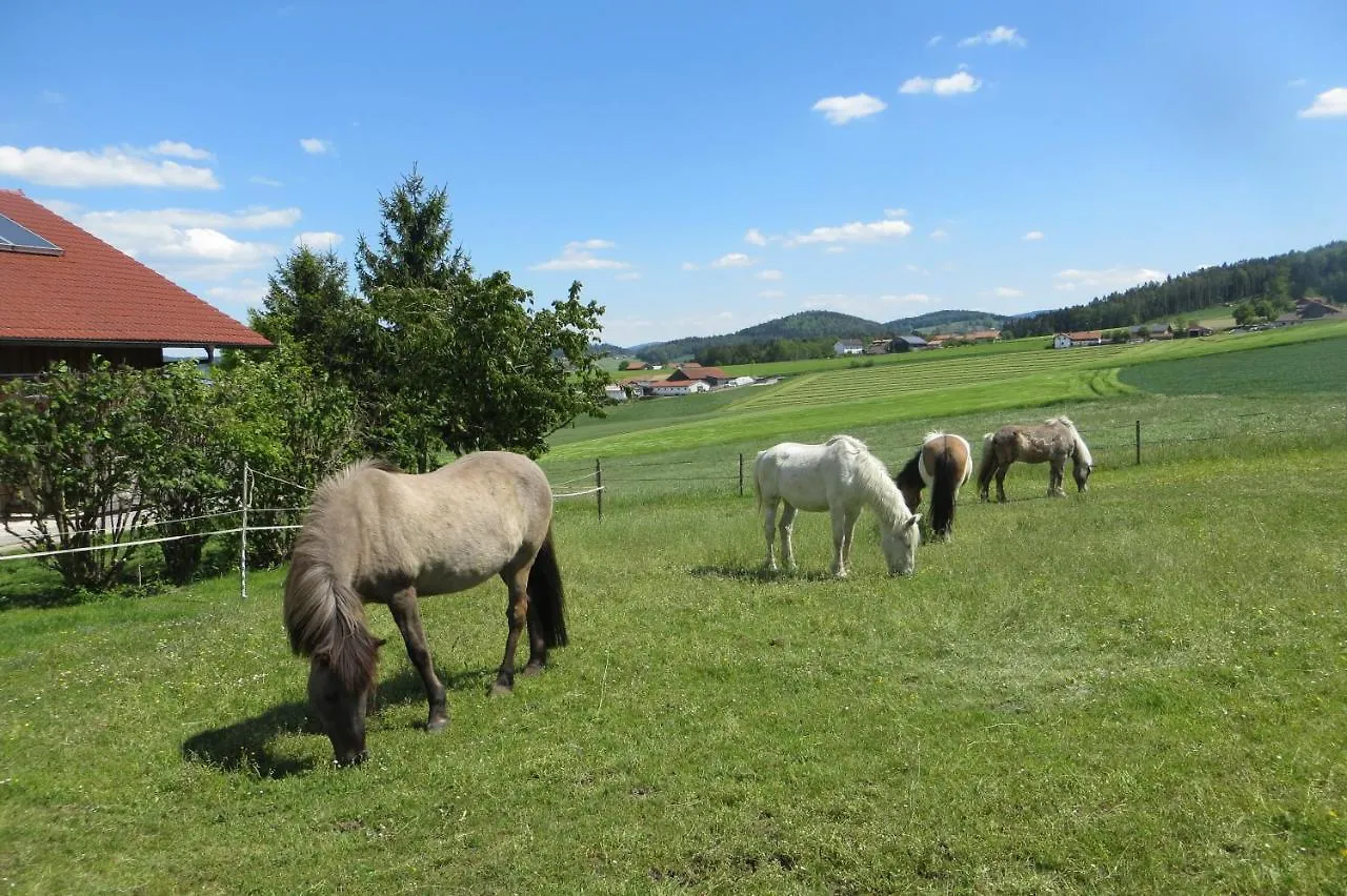Ponyhof Adam Urlaub Auf Dem Bauernhof Apartment Eschlkam