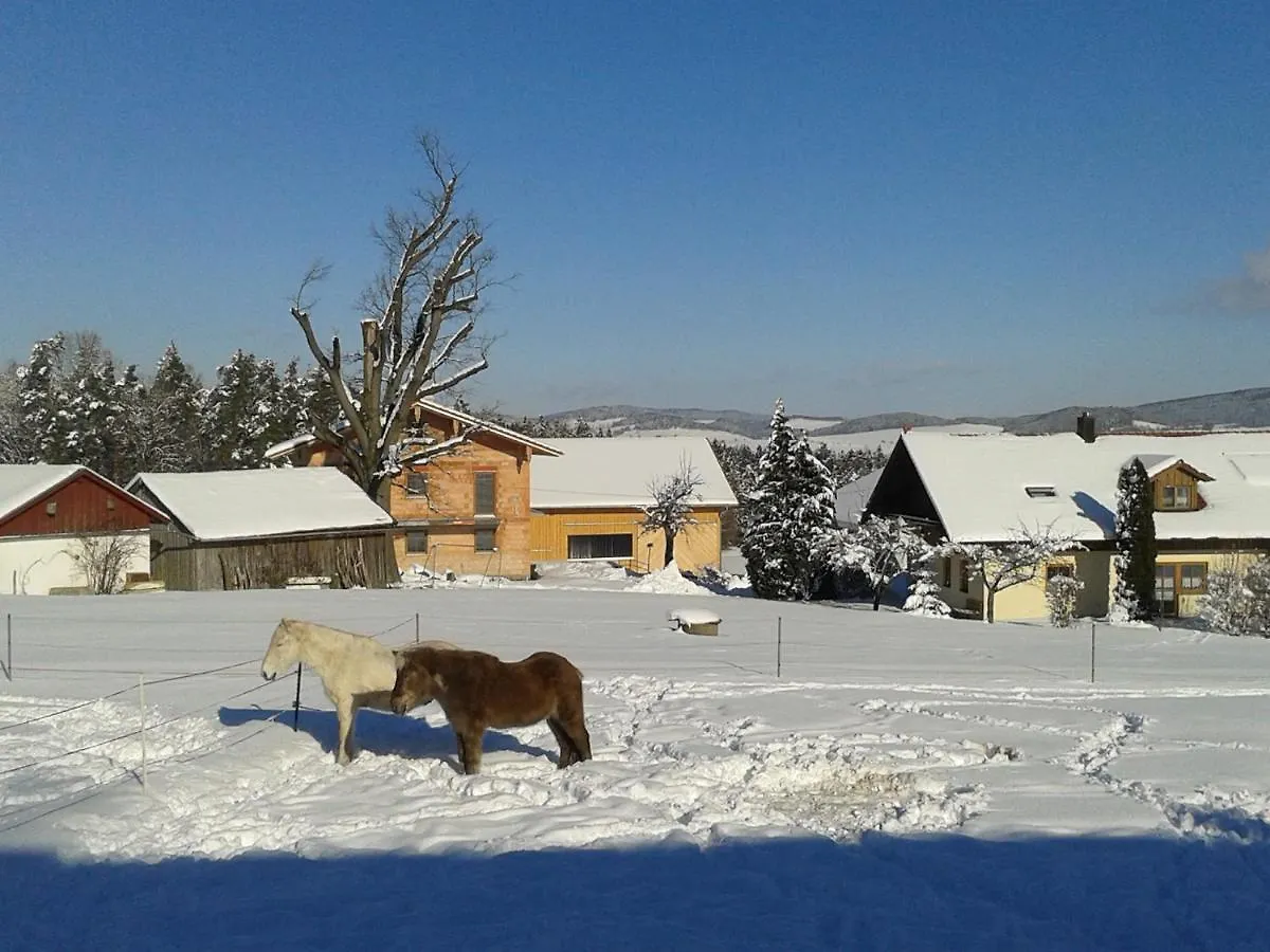Ponyhof Adam Urlaub Auf Dem Bauernhof Apartment Eschlkam Germany