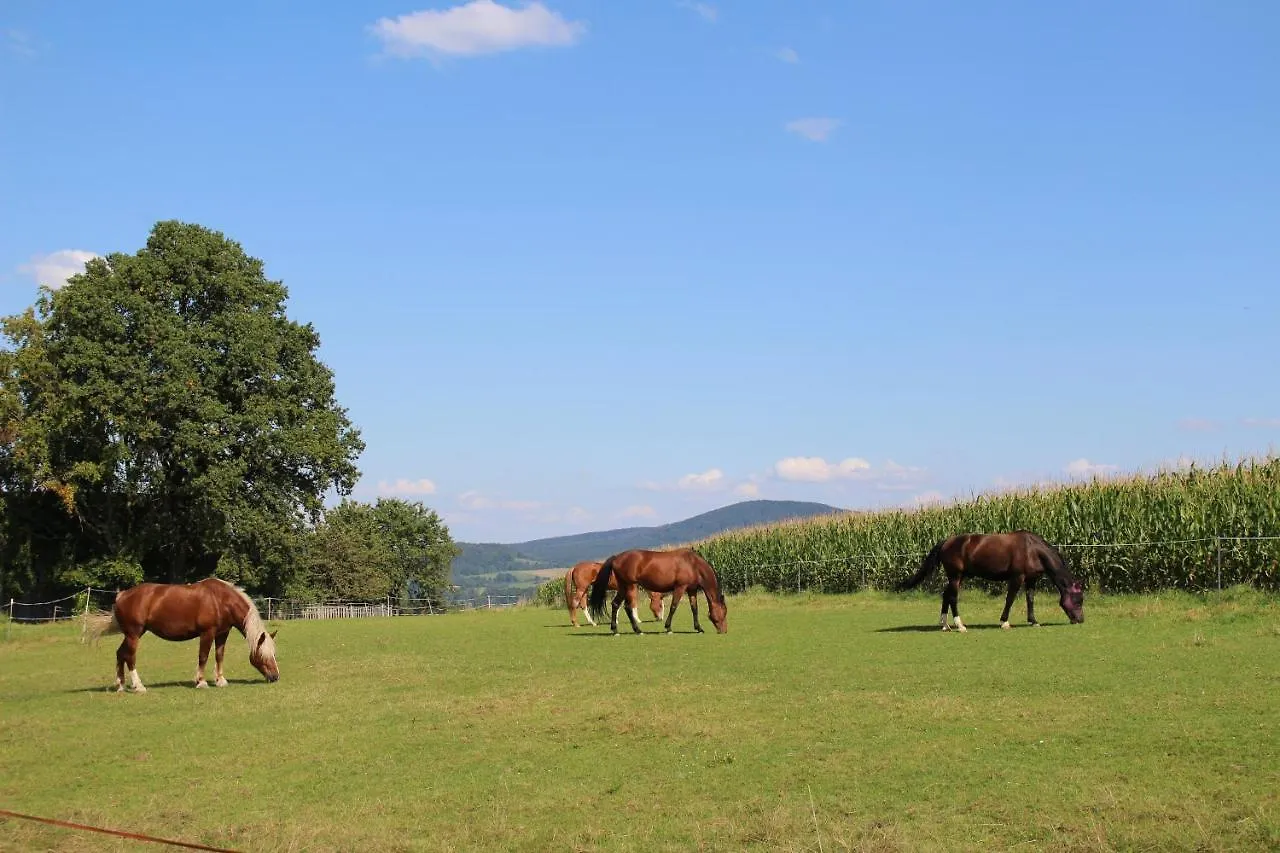 Ponyhof Adam Urlaub Auf Dem Bauernhof Apartment Eschlkam
