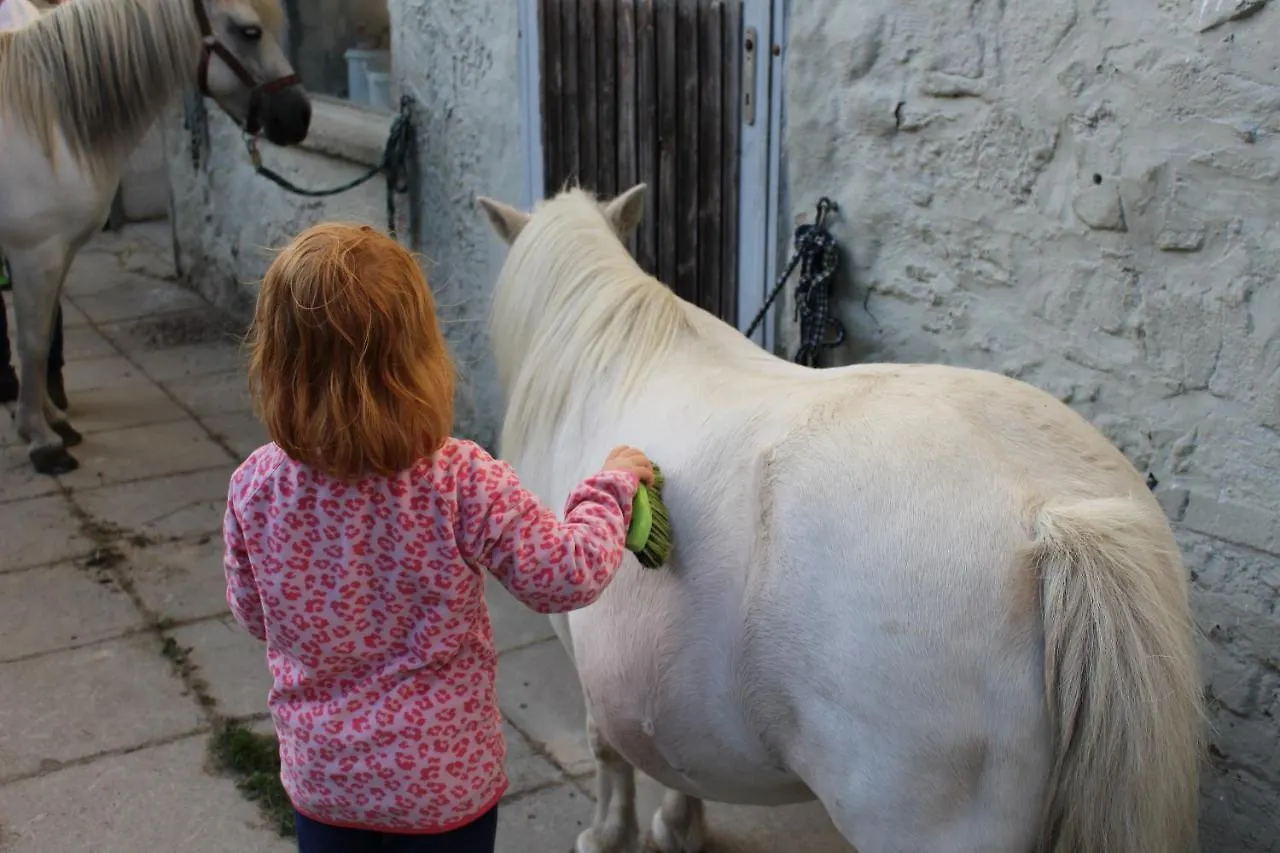 Ponyhof Adam Urlaub Auf Dem Bauernhof Apartment Eschlkam 0*,  Germany