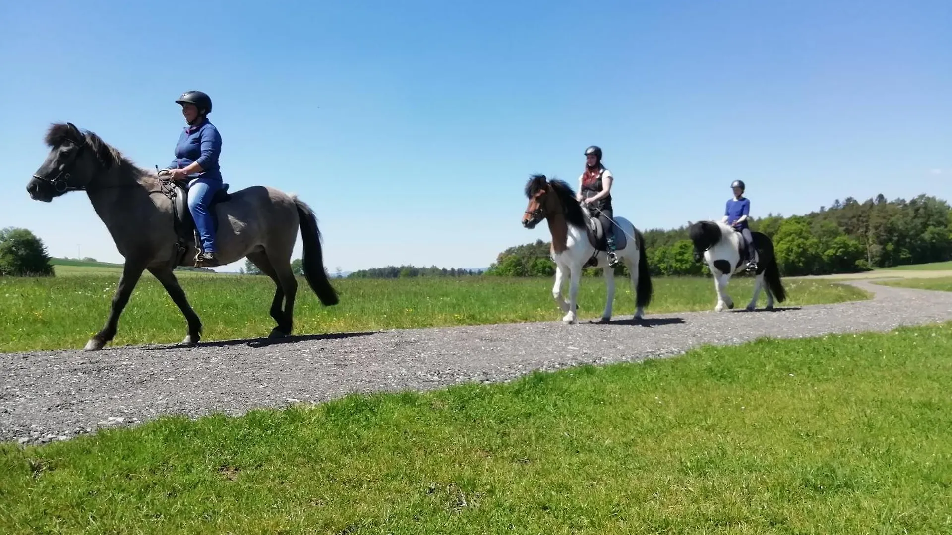 Ferienwohnung Ponyhof Adam Urlaub auf dem Bauernhof Eschlkam 0*,  Deutschland
