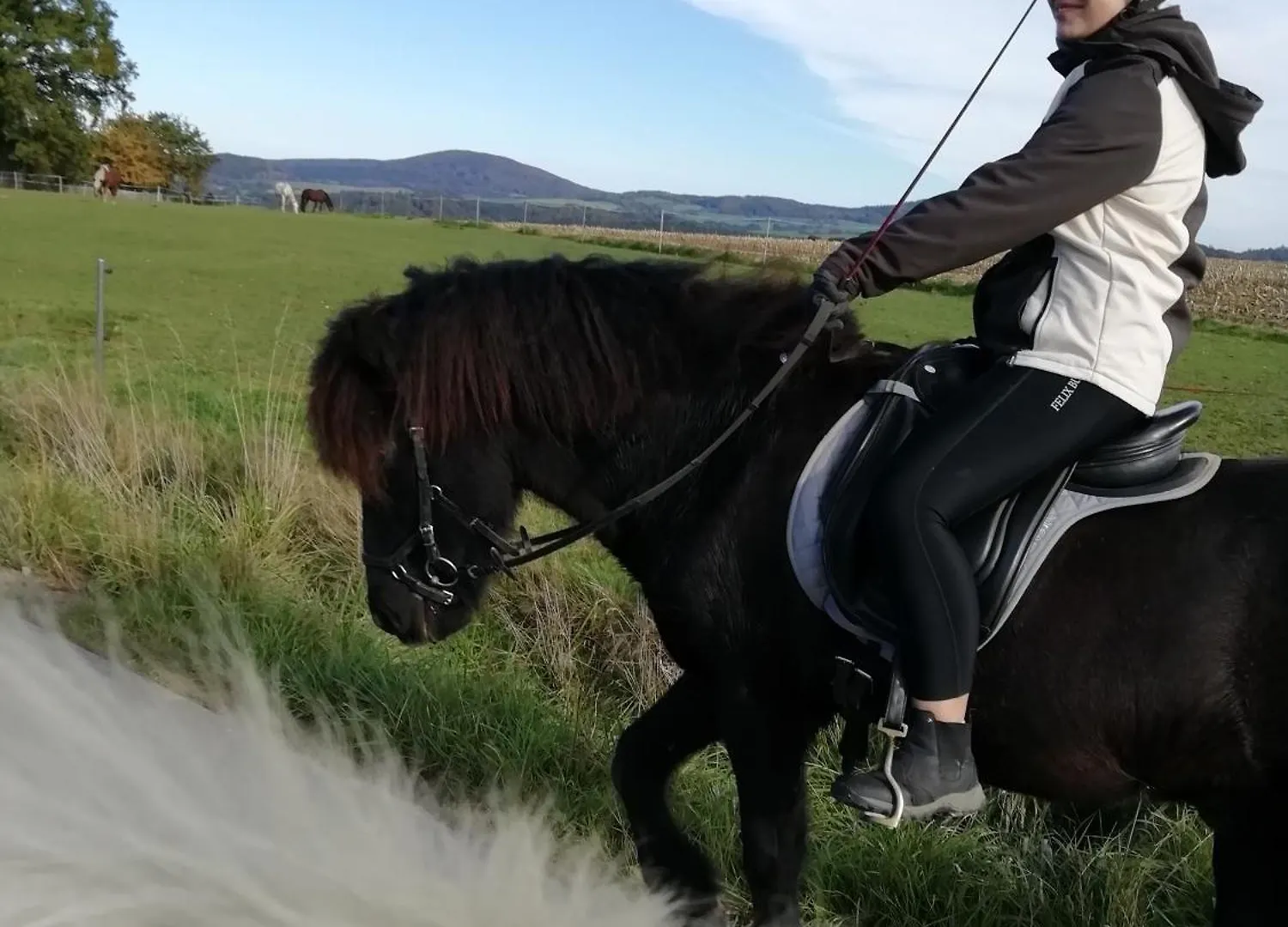 Ponyhof Adam Urlaub Auf Dem Bauernhof Apartment Eschlkam