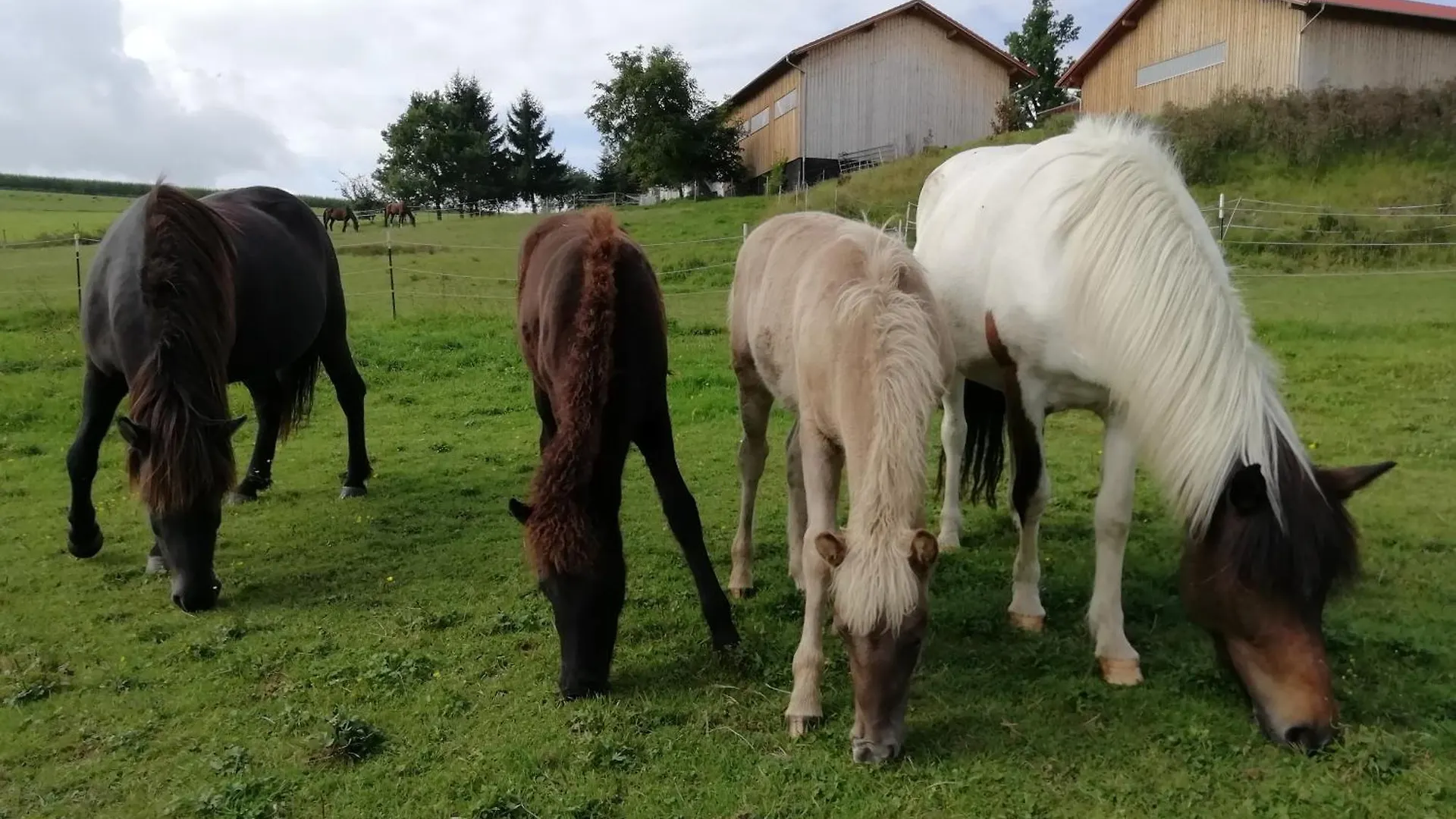 Ponyhof Adam Urlaub Auf Dem Bauernhof Apartment Eschlkam