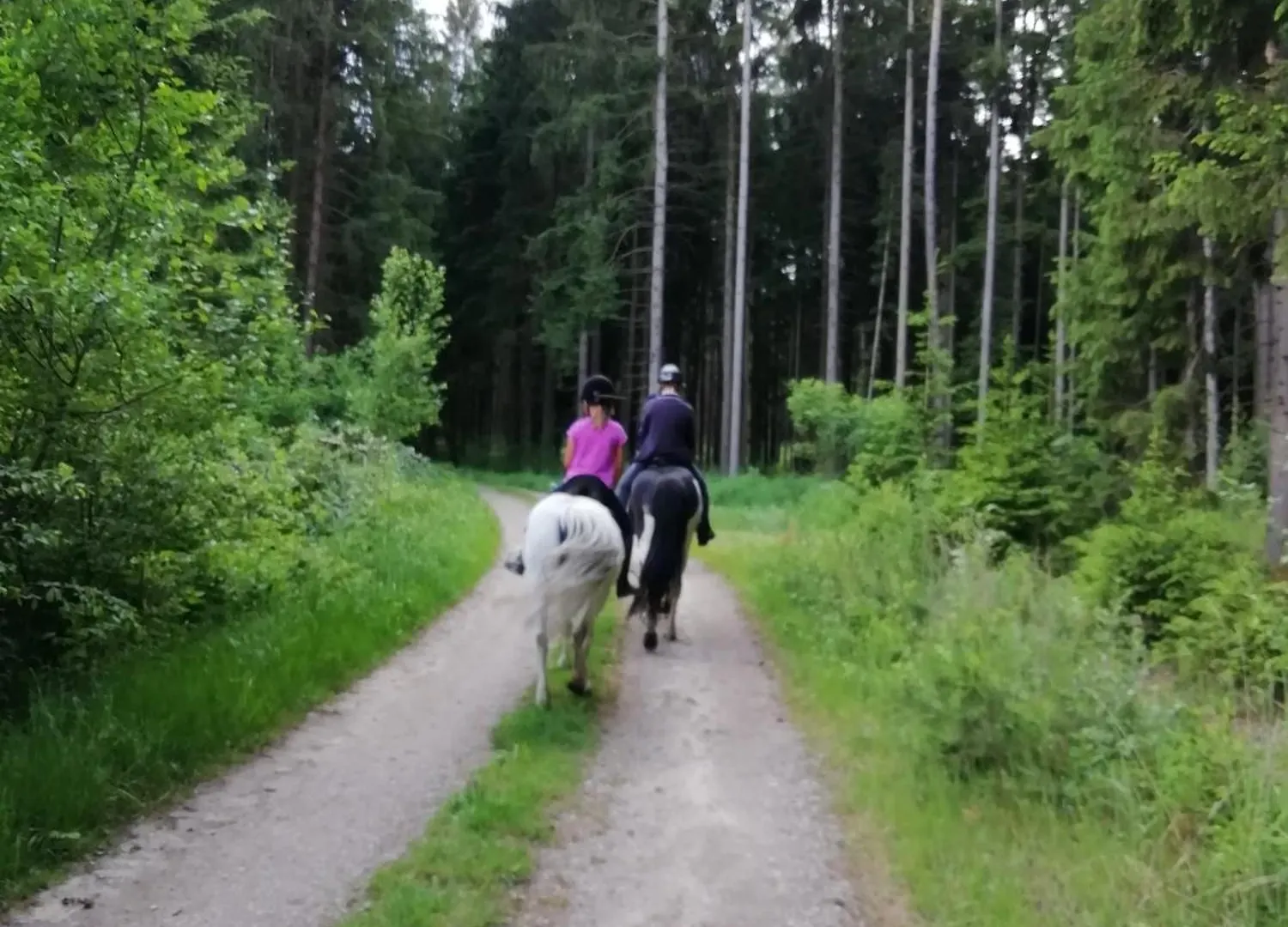 Ponyhof Adam Urlaub Auf Dem Bauernhof Apartment Eschlkam
