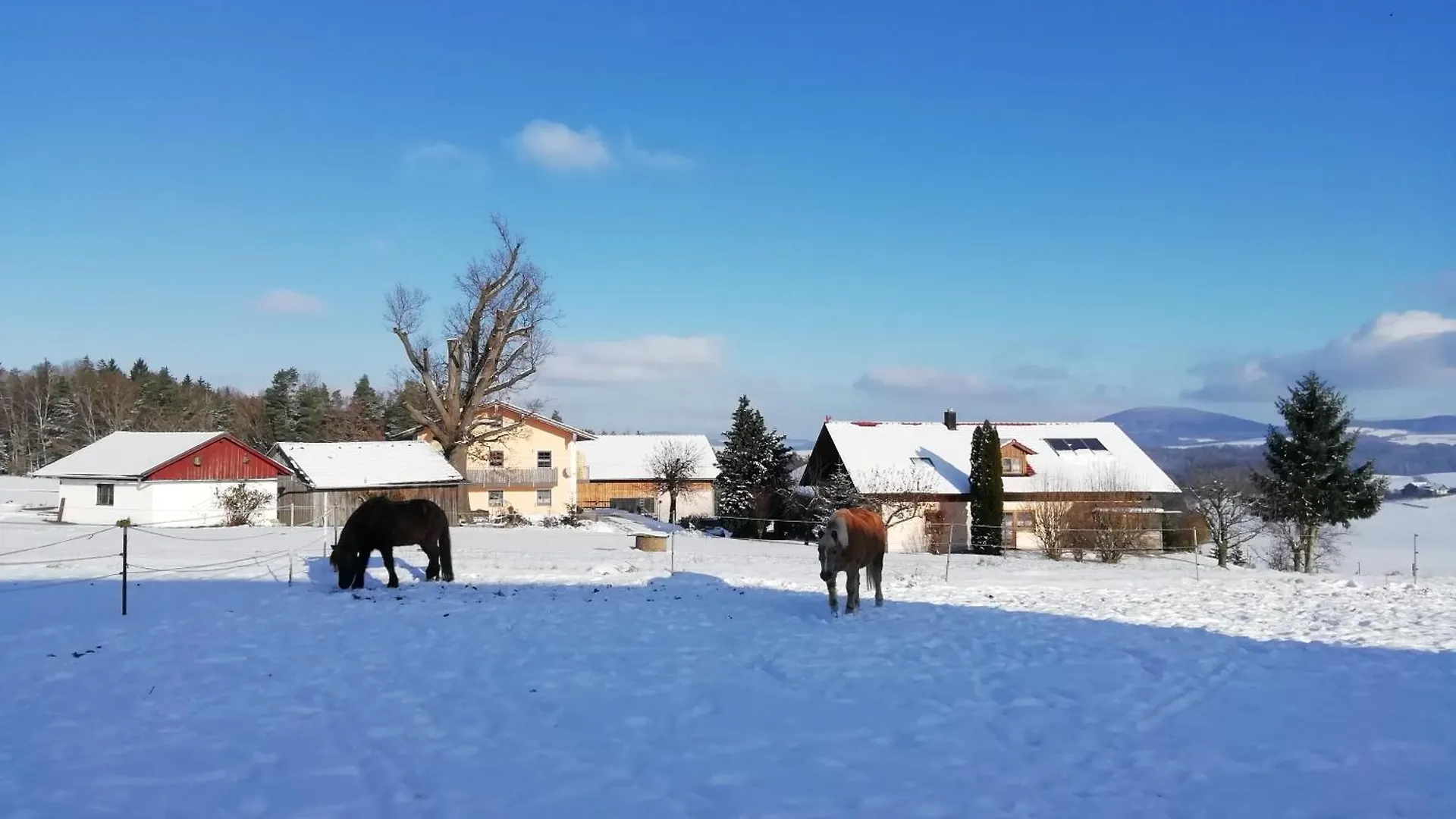 Ponyhof Adam Urlaub Auf Dem Bauernhof Apartment Eschlkam 0*,  Germany
