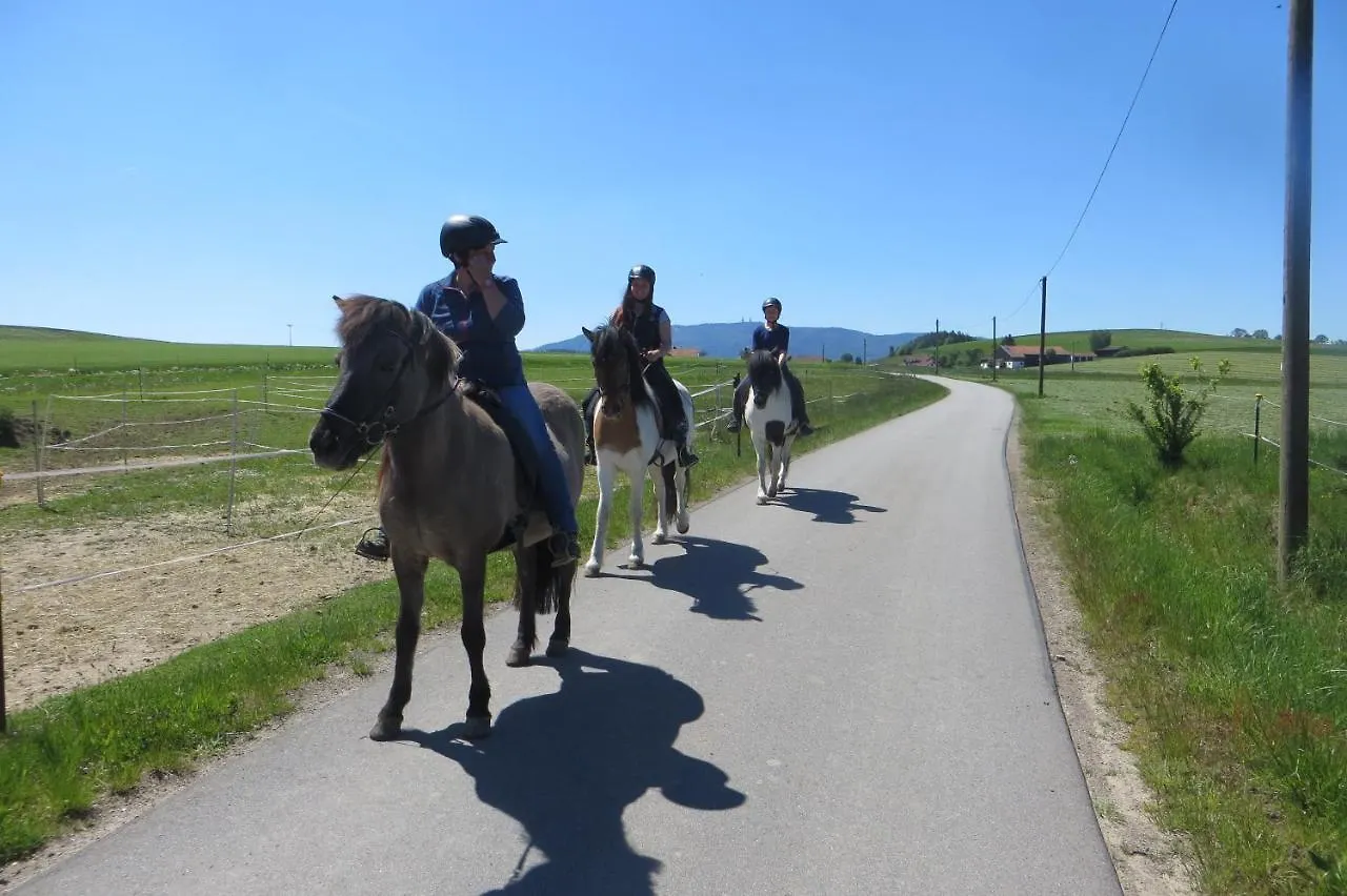 Ponyhof Adam Urlaub Auf Dem Bauernhof Apartment Eschlkam