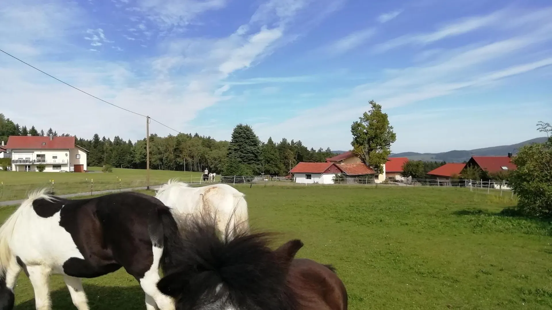 Ponyhof Adam Urlaub Auf Dem Bauernhof Apartment Eschlkam