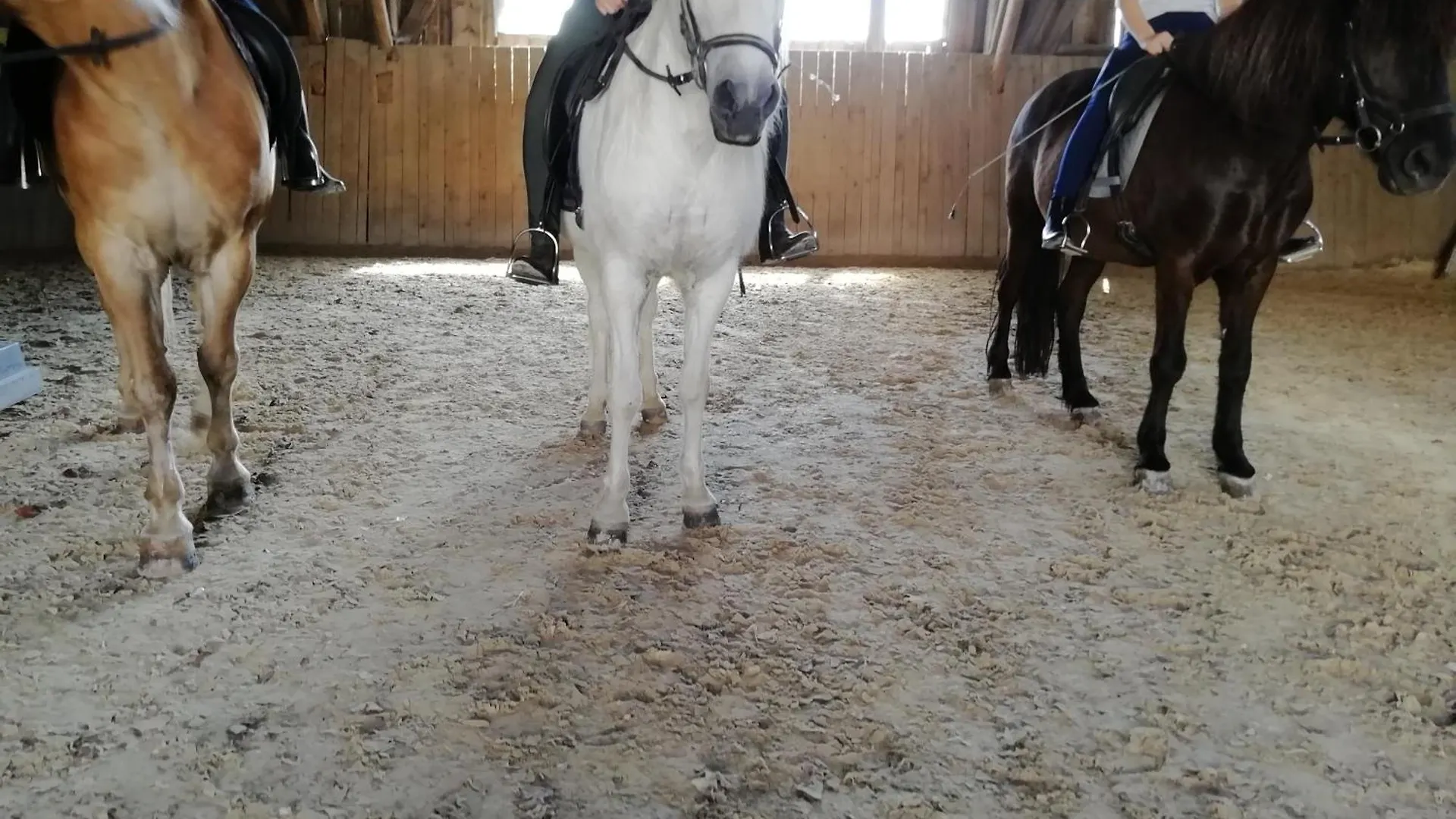 Ferienwohnung Ponyhof Adam Urlaub auf dem Bauernhof Eschlkam