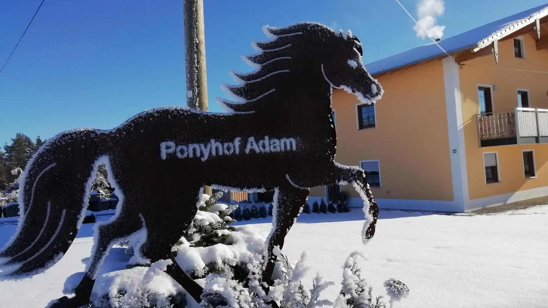 Ferienwohnung Ponyhof Adam Urlaub auf dem Bauernhof Eschlkam