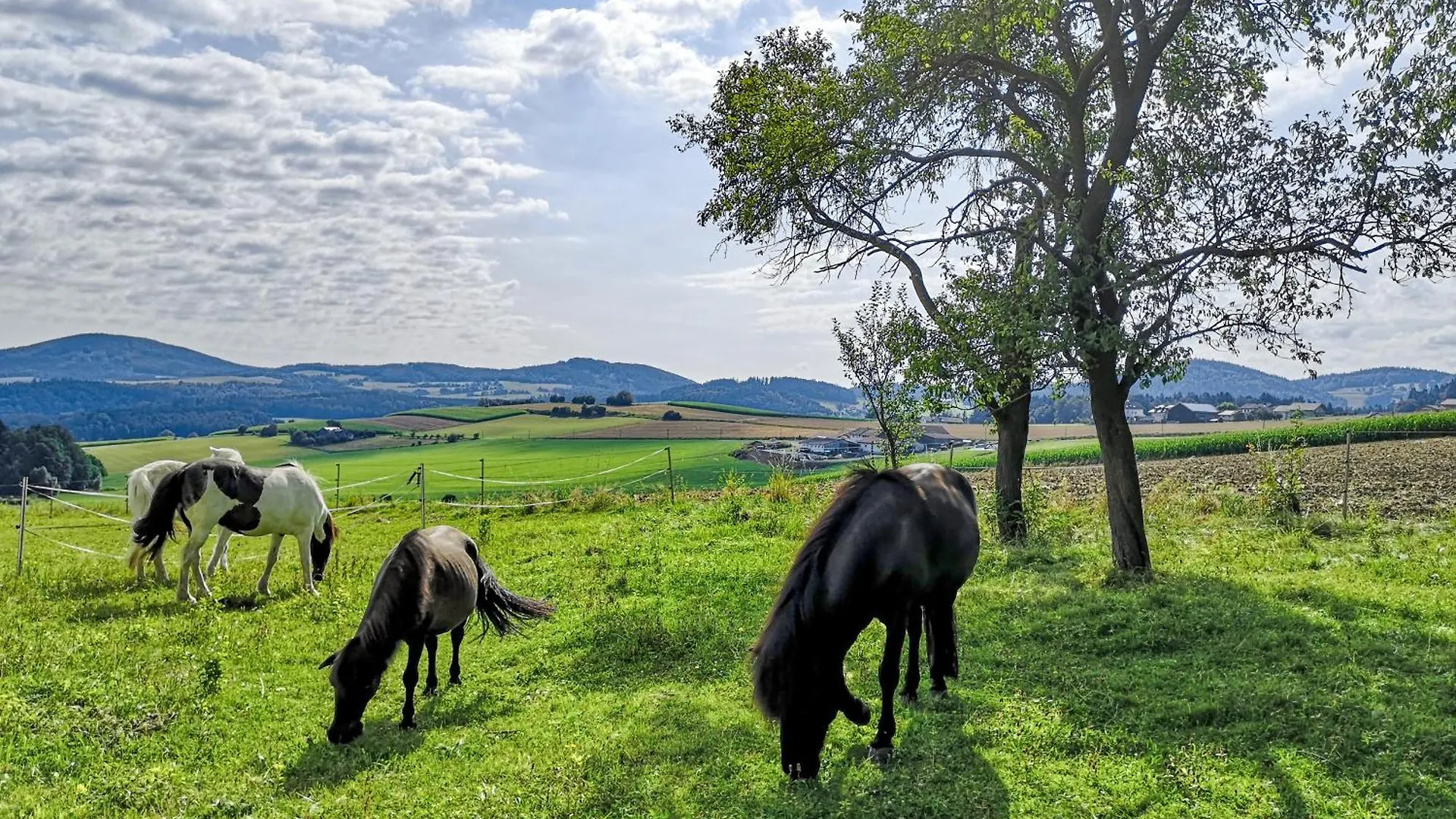 Ponyhof Adam Urlaub Auf Dem Bauernhof Apartment Eschlkam